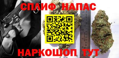 тгк Будённовск
